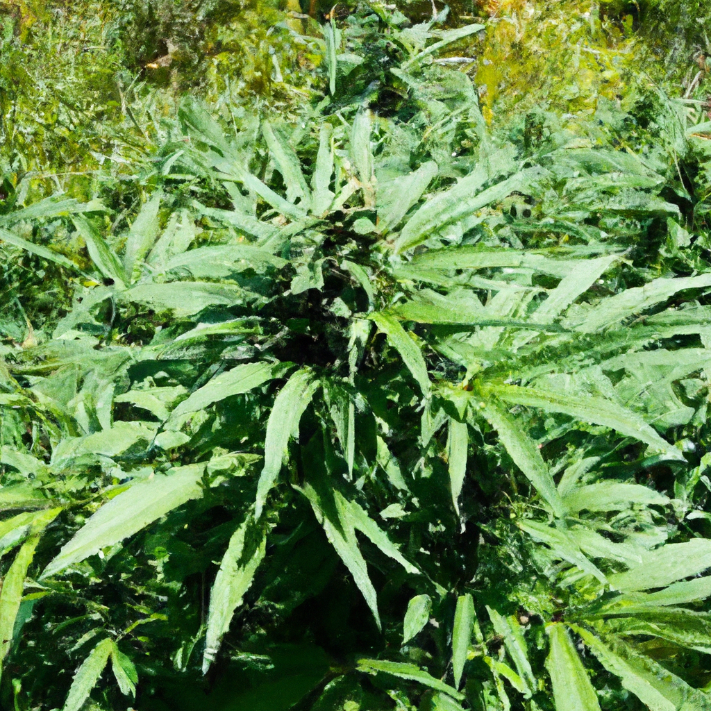Sustainable Cannabis: Leveraging Regenerative Agriculture