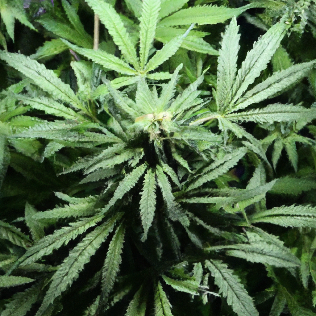 Indoor Micro-Growing: Mastering Small Spaces