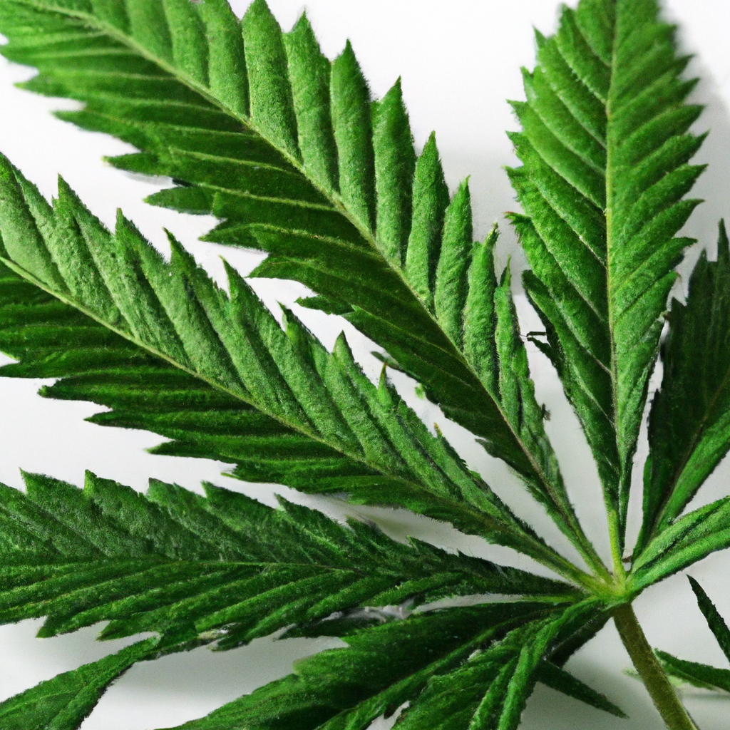 Unlocking the Power of Medicinal Cannabis: Nature’s Healer