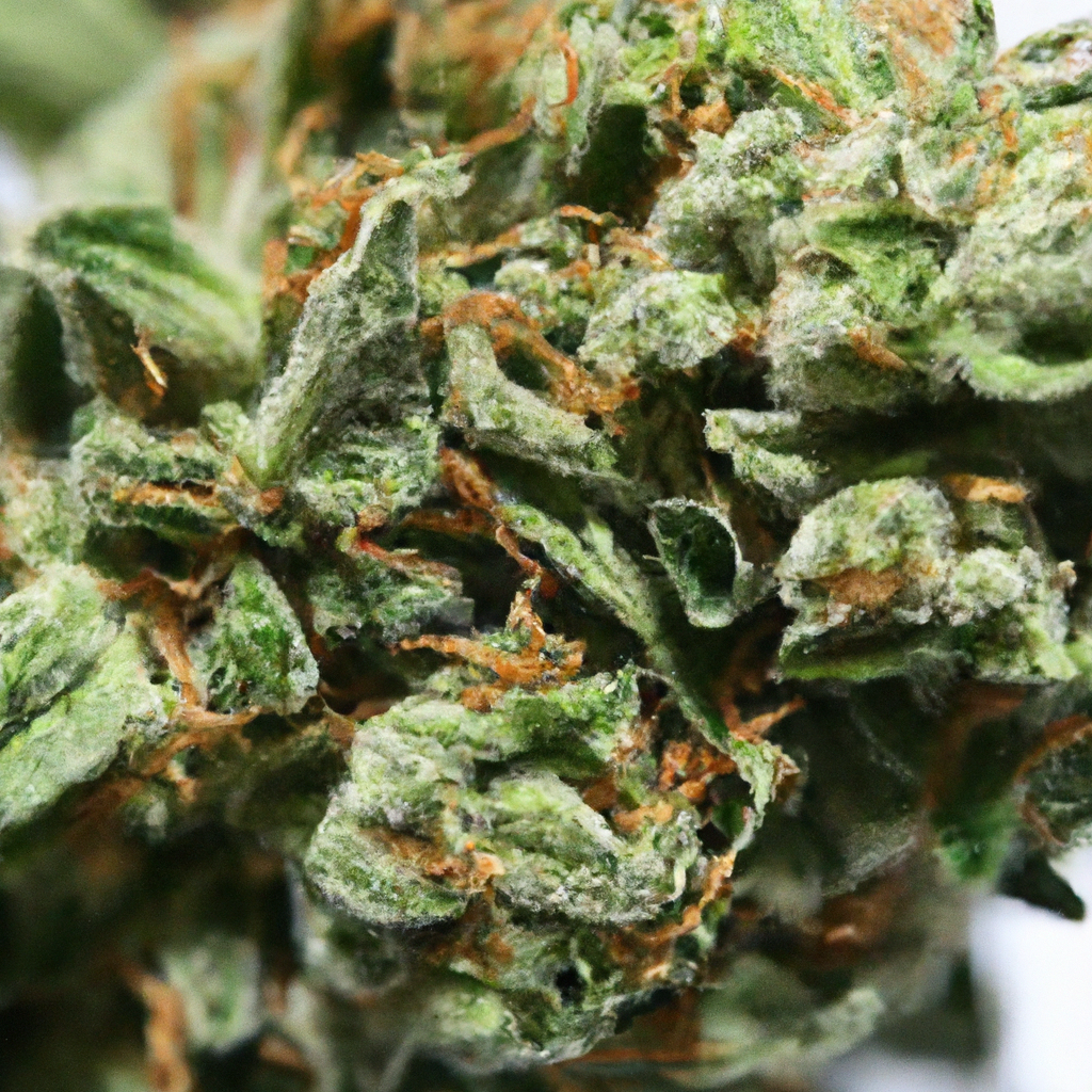 The Art of Cannabis Trichomes Management