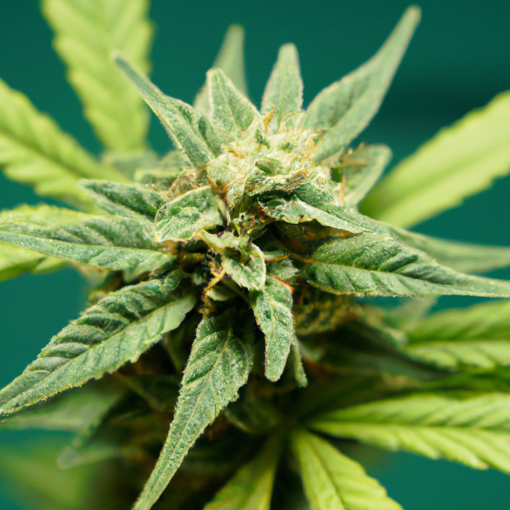 Exploring Cannabis: Unlocking Cancer-Fighting Potential